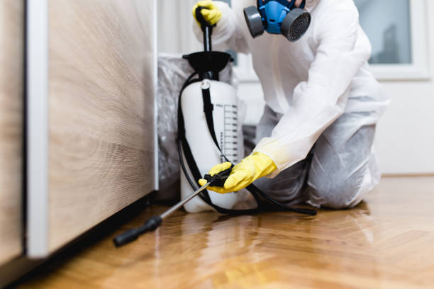 Professional Pest Control in Loveland, CO