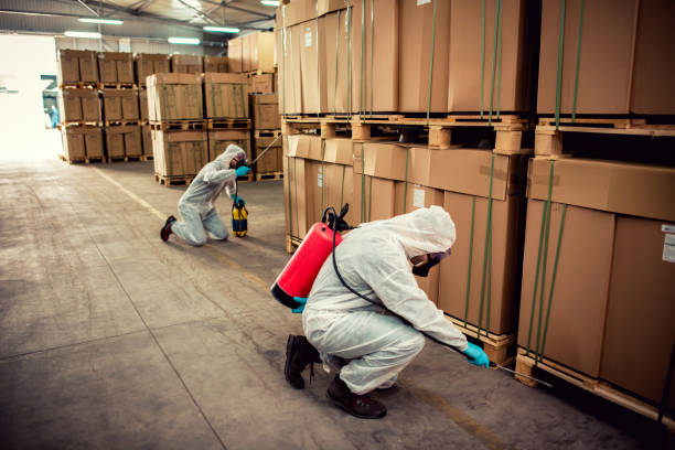 Best Best Pest Control Companies  in Loveland, CO