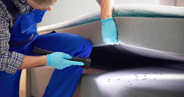 Best Affordable Pest Control Services  in Loveland, CO