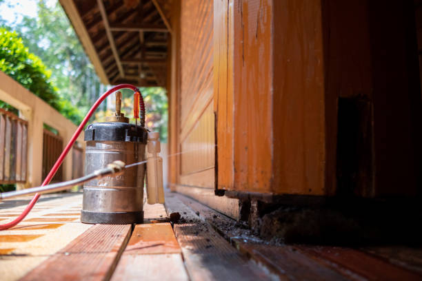 Best Residential Pest Control  in Loveland, CO